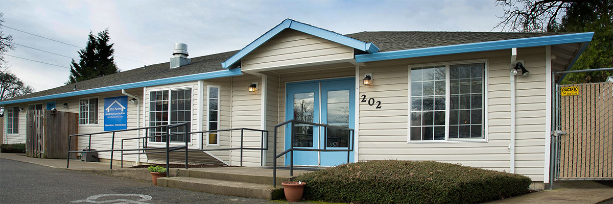blue haven dallas location